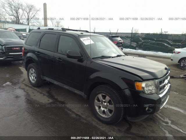 Ford Escape (2011)