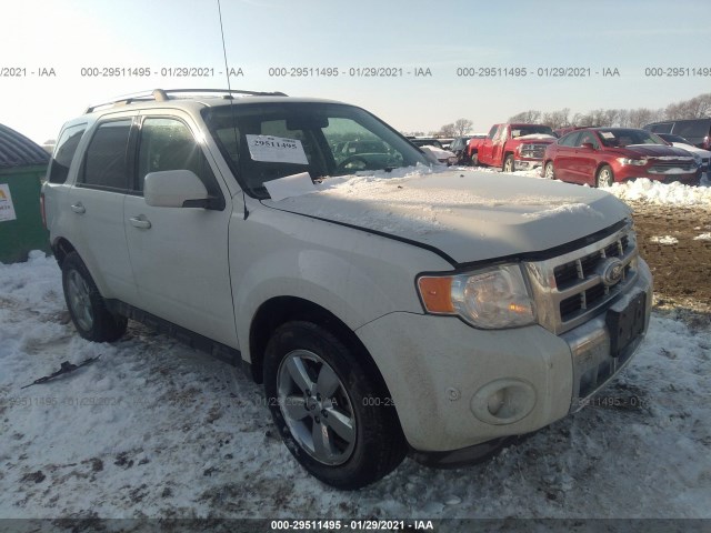 Ford Escape (2010)