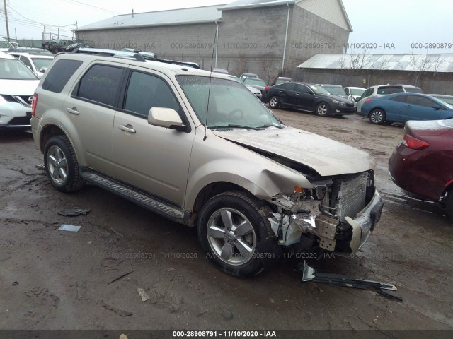 Ford Escape (2010)