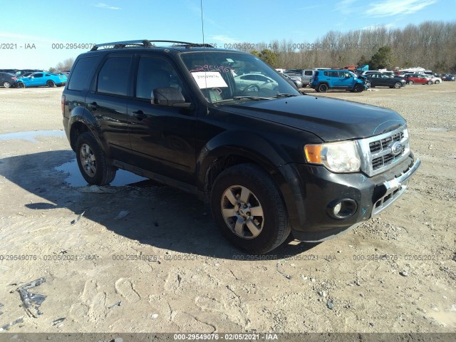 Ford Escape (2011)