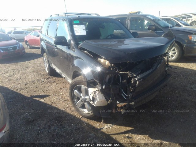 Ford Escape (2012)