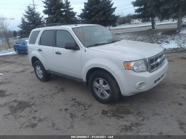Ford Escape (2010)