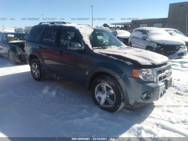 Ford Escape (2012)