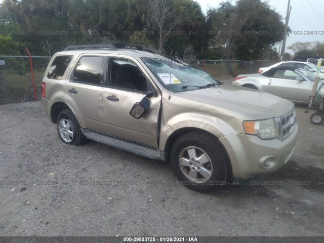 Ford Escape (2010)