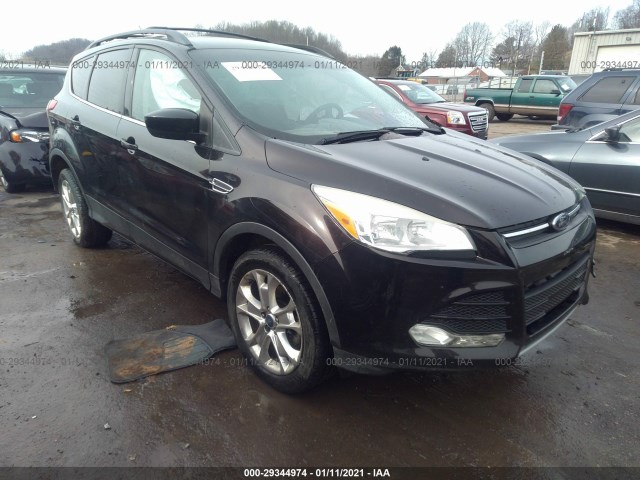 Ford Escape (2013)