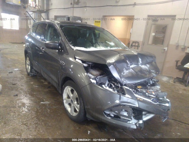 Ford Escape (2014)