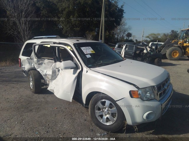Ford Escape (2010)