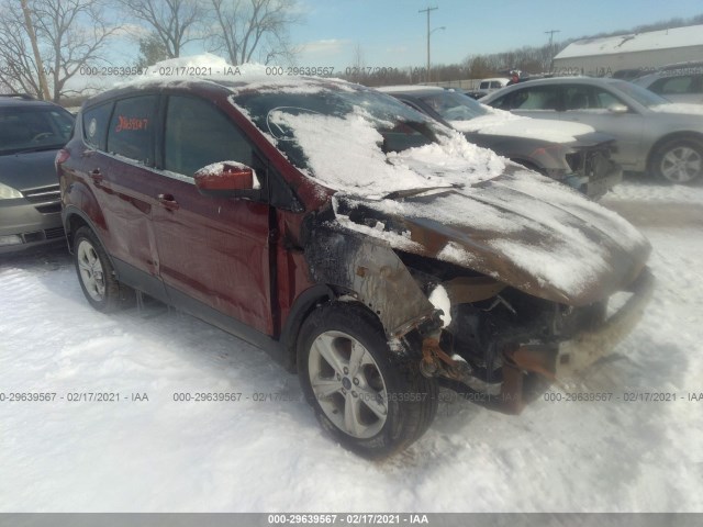 Ford Escape (2014)