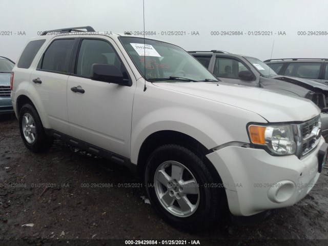 Ford Escape (2011)