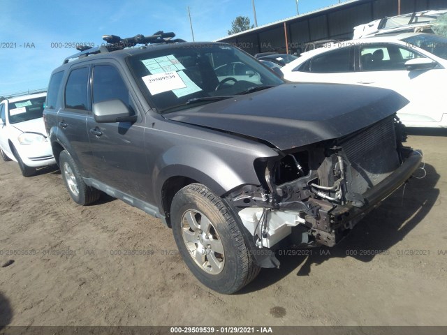 Ford Escape (2011)