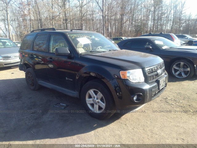 Ford Escape (2011)