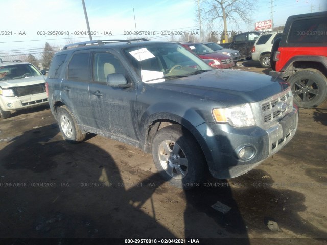 Ford Escape (2012)