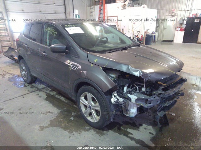 Ford Escape (2014)