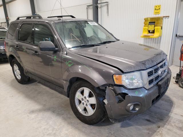 Ford Escape xlt (2010)