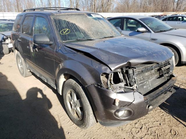 Ford Escape xlt (2010)
