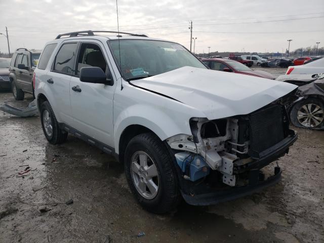 Ford Escape xlt (2011)