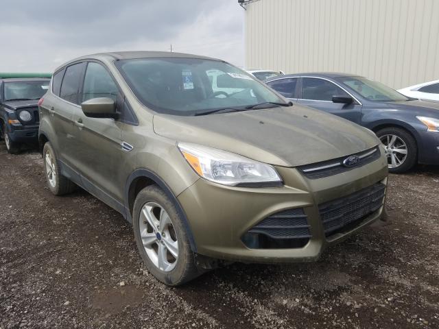 Ford Escape se (2013)