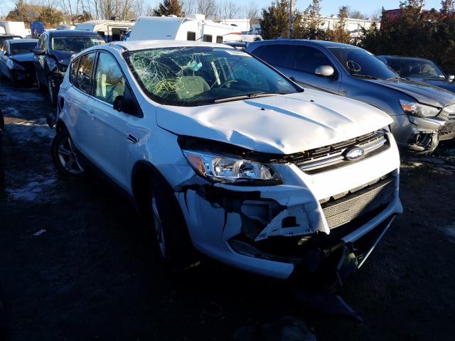 Ford Escape se (2013)
