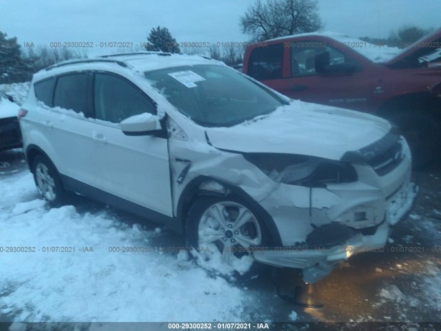 Ford Escape (2014)