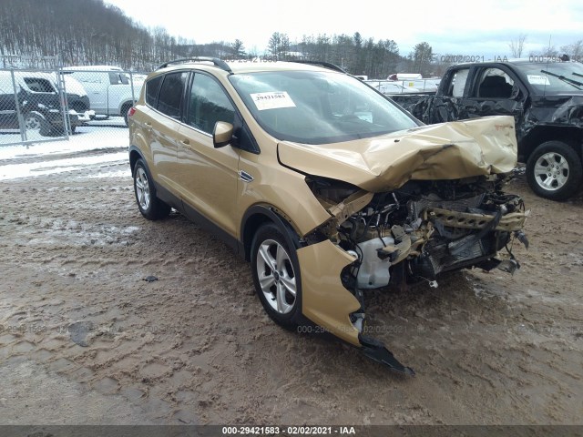 Ford Escape (2014)