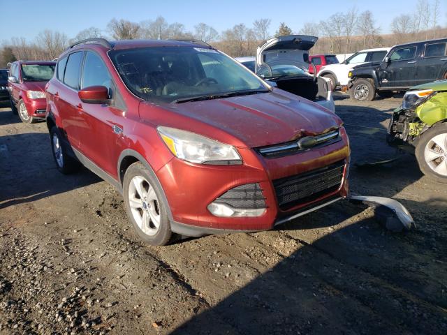 Ford Escape se (2014)