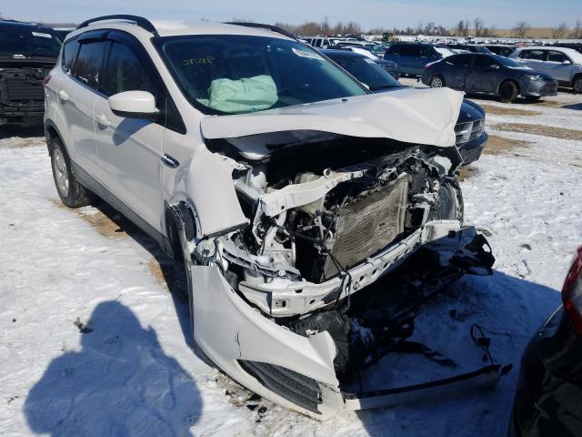 Ford Escape se (2014)