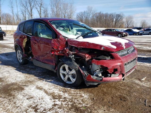 Ford Escape se (2014)