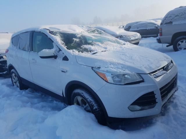Ford Escape se (2014)