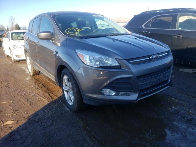 Ford Escape se (2014)