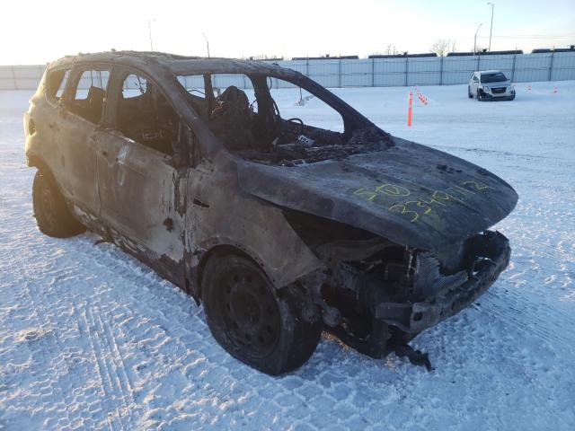 Ford Escape se (2014)