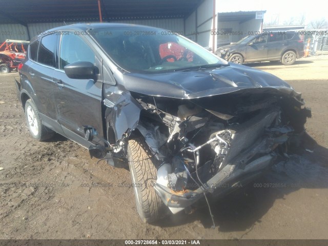 Ford Escape (2015)