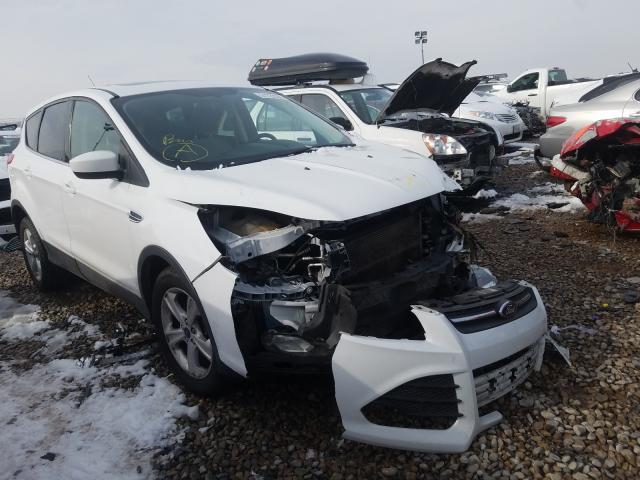 Ford Escape se (2015)