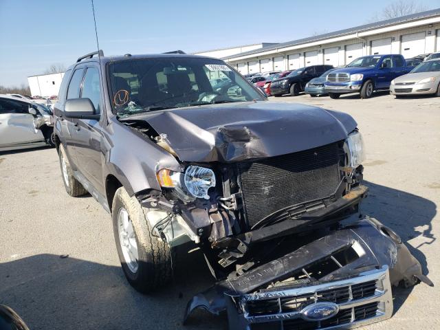 Ford Escape xlt (2010)