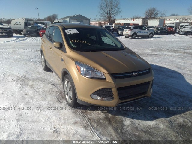 Ford Escape (2014)