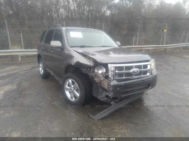 Ford Escape (2010)