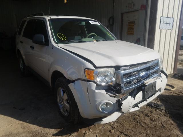 Ford Escape xlt (2011)