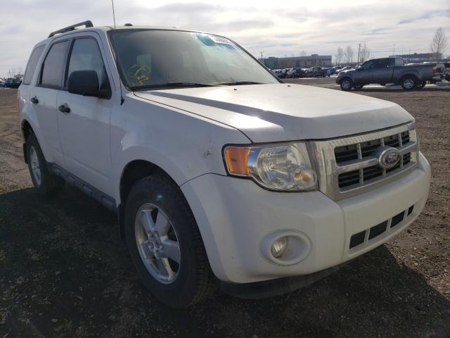 Ford Escape xlt (2010)