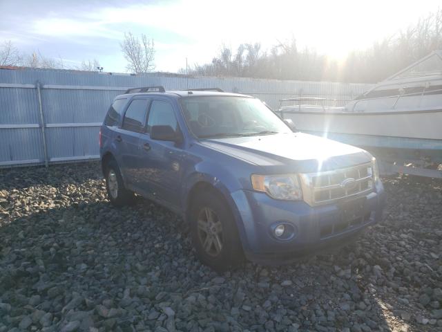 Ford Escape xlt (2010)