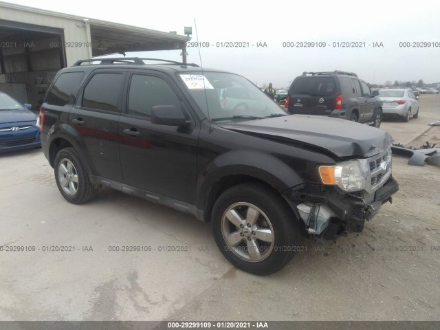 Ford Escape (2011)