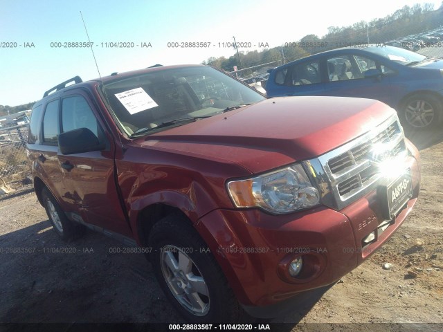 Ford Escape (2012)