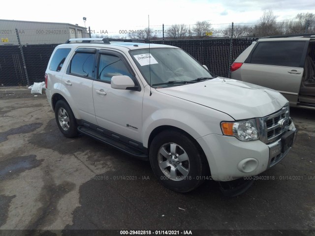 Ford Escape (2010)