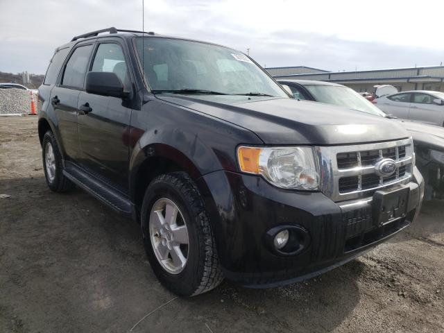 Ford Escape xlt (2011)