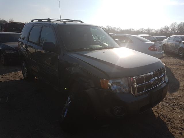 Ford Escape xlt (2011)