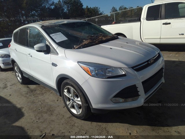 Ford Escape (2015)