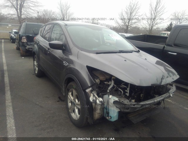 Ford Escape (2015)