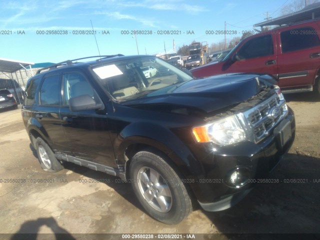 Ford Escape (2010)