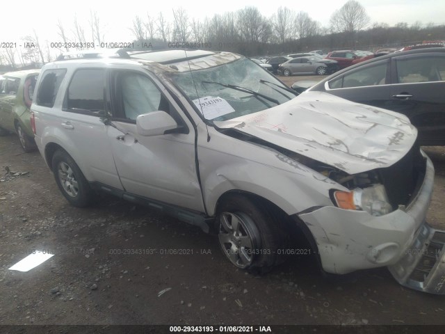 Ford Escape (2010)