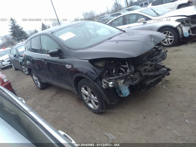 Ford Escape (2013)