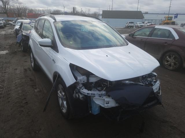Ford Escape se (2013)