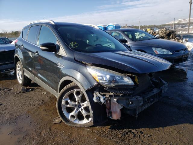 Ford Escape tit (2013)